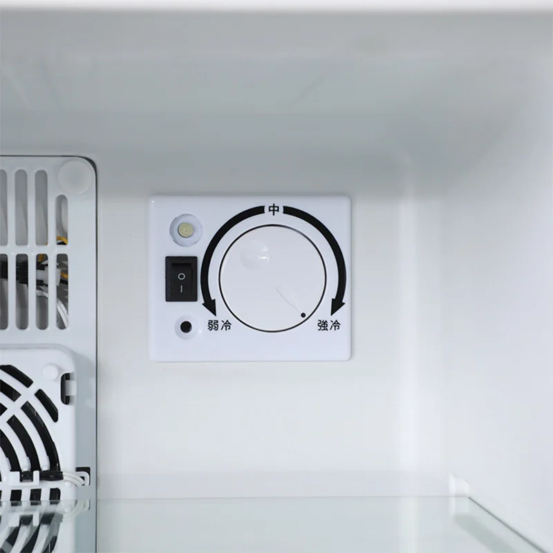 Mini lodówka chłodziarka 40L z – Wine Beer Cooler Fridge recenzja i cena